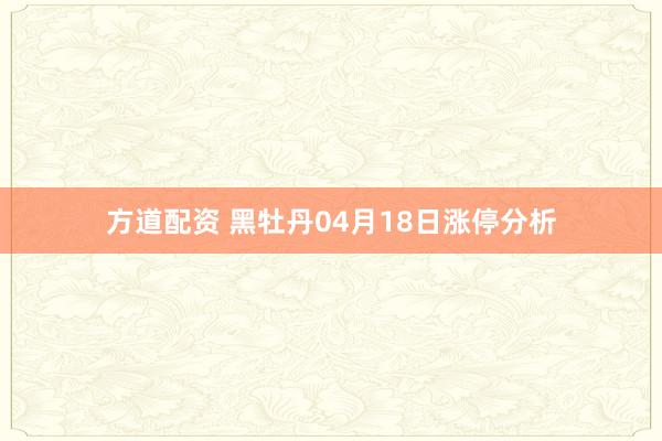 方道配资 黑牡丹04月18日涨停分析