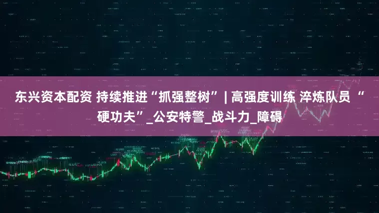 东兴资本配资 持续推进“抓强整树” | 高强度训练 淬炼队员 “硬功夫”_公安特警_战斗力_障碍