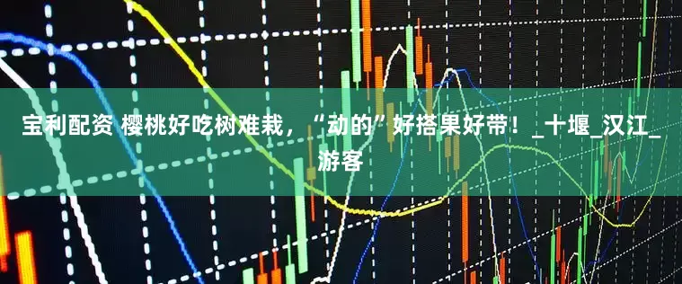 宝利配资 樱桃好吃树难栽，“动的”好搭果好带！_十堰_汉江_游客